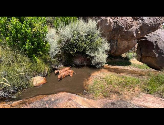 LAND FOR SALE IN PIKETBERG RURAL